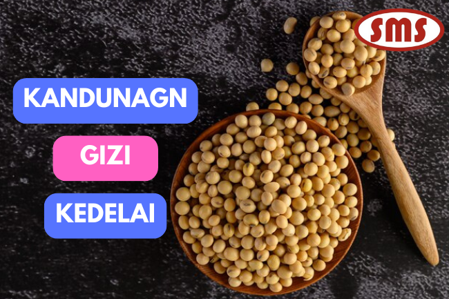 Ketahuilah Kandungan Gizi Pada Kedelai